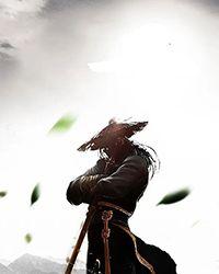 从海贼开始横推万界百科